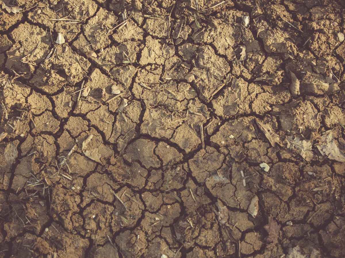 A Family, A Field – A&nbsp;Home