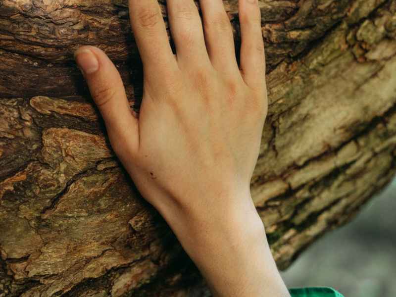 Climb That Tree, You Never Know What You Will&nbsp;Find